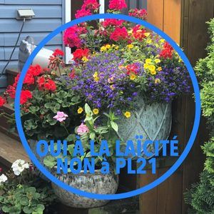 Meet your Posher, J jeanne